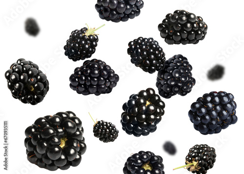 Many fresh blackberries falling on white background