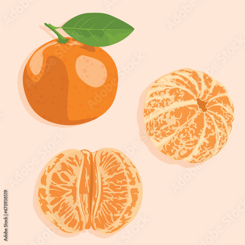 A whole tangerine with peel, a whole tangerine peeled, half a tangerine. Realistic vector image. Vector food icons. Healthy food.