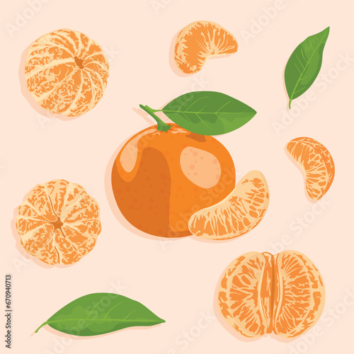 Fototapeta Naklejka Na Ścianę i Meble -  Tangerines. Set of vector icons of a whole tangerine and its peeled segments. Citrus icons.