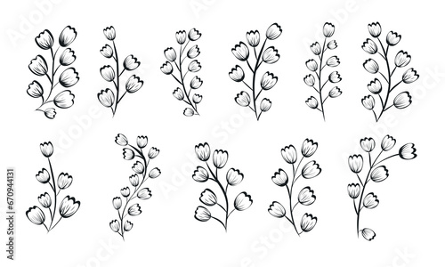 Black and white doodle of branches with flower buds. Set of vector isolated botanical twigs.