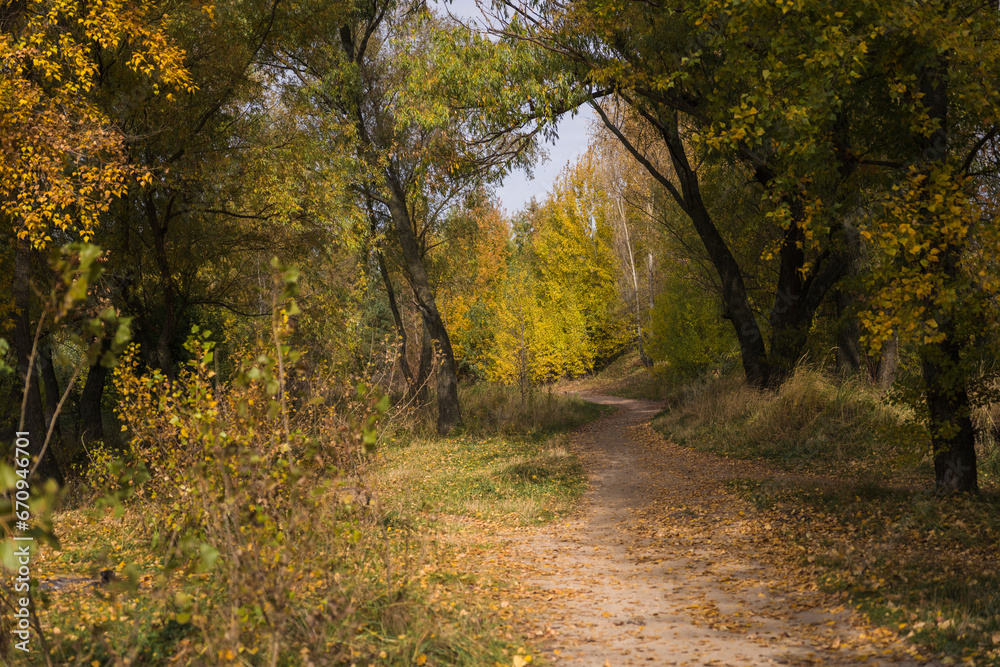 Autumn lanscape in the forest with with bright color leaves, lake and foret road Autumn lanscape in the forest with with bright color leaves, lake and foret road