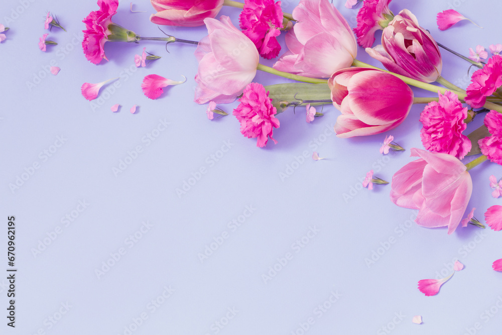 beautiful spring flowers on purple background beautiful spring flowers on purple background
