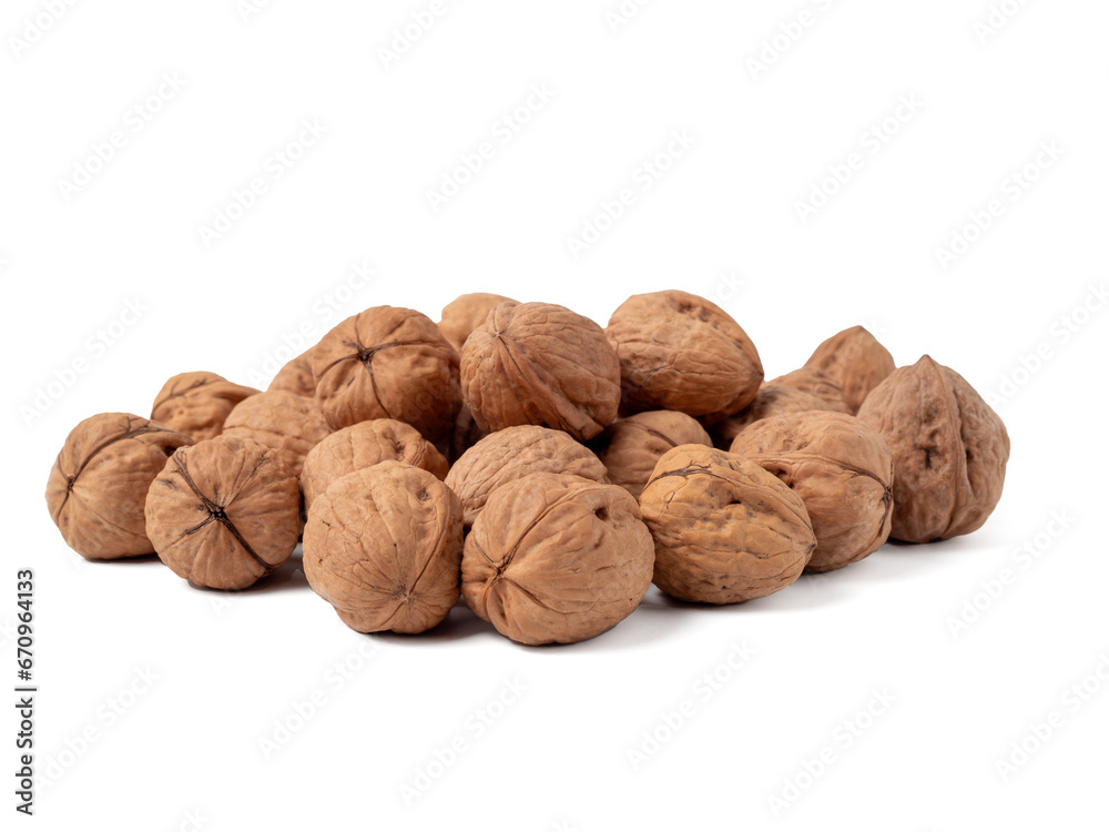 Walnut isolated on white background. Walnut closeup on white. Walnut isolated on white background. Walnut closeup on white.