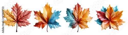 Set of Cute 3D blue-orange maples leaf isolated on transparent background. cutout  PNG file. fall thanksgiving. for template product presentation.