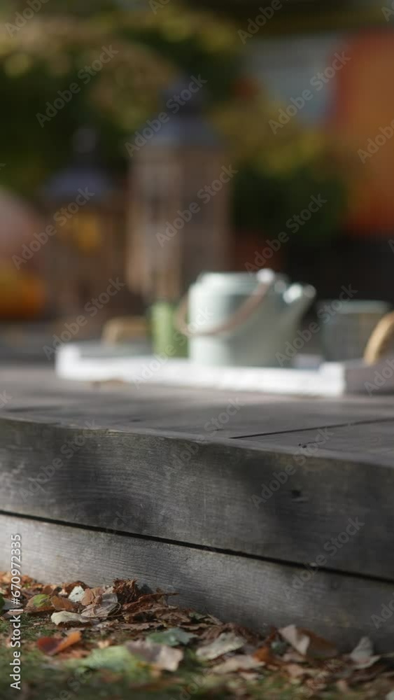 With her hipster flair, a charming girl is seen transporting a teapot and tea cups into the autumn garden. With her hipster flair, a charming girl is seen transporting a teapot and tea cups into the autumn garden.