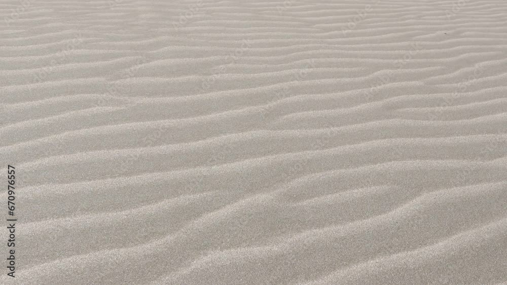 砂紋・風・影 砂紋・風・影