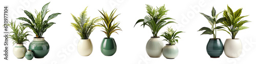 retro vantage and modern vase and interior plant pot    Hyperrealistic Highly Detailed Isolated On Transparent Background Png File photo