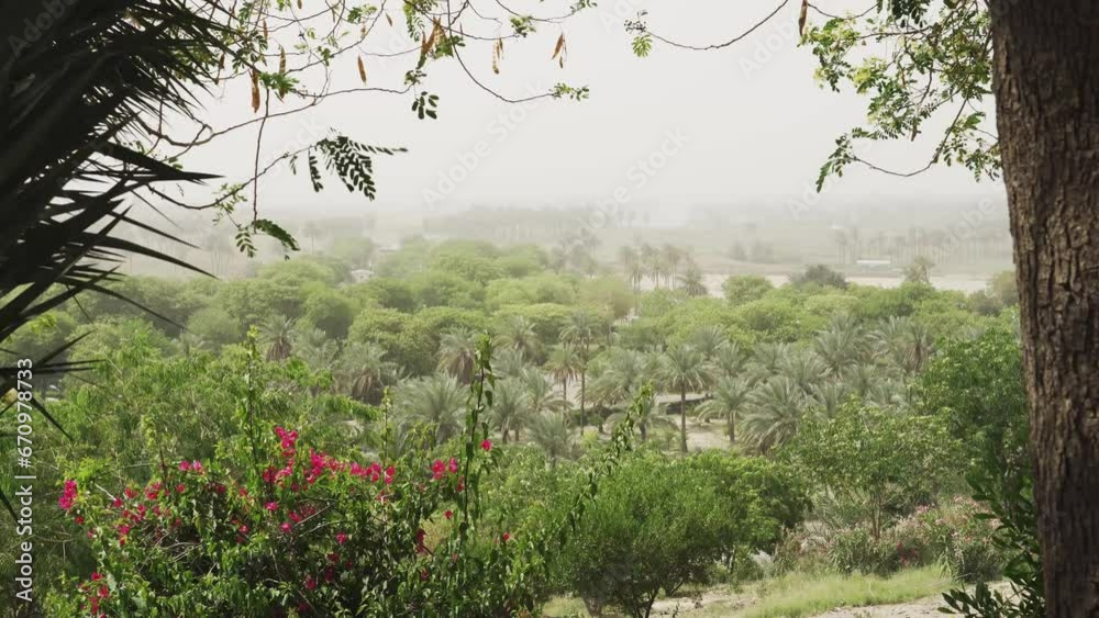 Saddam Hussein Palace Garden, Iraq