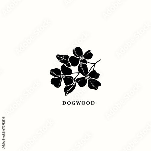 Flat vector dogwood branch illustration photo