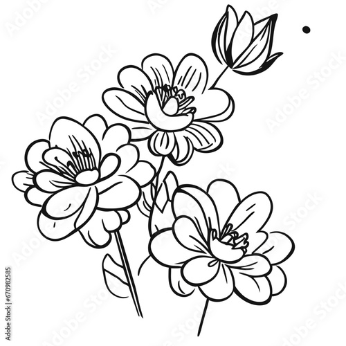 hand drawn flower