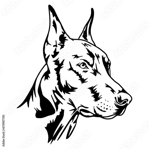 Doberman, black and white portrait. Pet, dog, home security. Stock vector illustration isolated on white background. Clipart