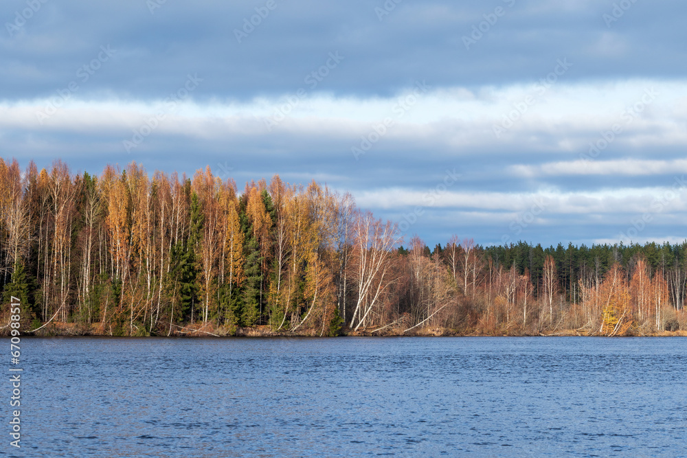 Landscape with autumn forest on banks of Svir river