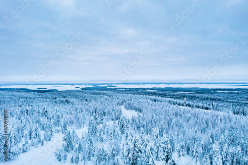 landscape with snow and trees