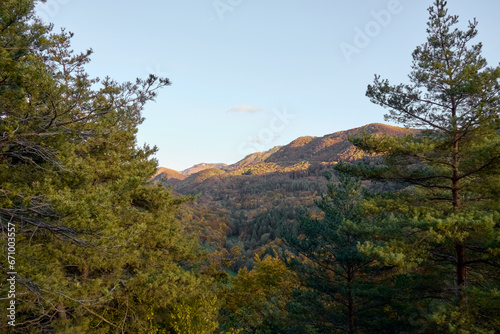 autumn forest in the mountains