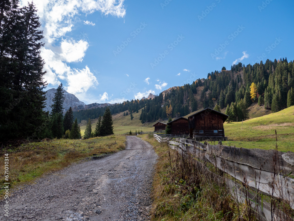 Feeling of nature on the Seiser Alm in the Dolomites, Italy Feeling of nature on the Seiser Alm in the Dolomites, Italy