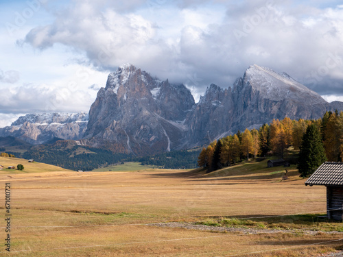 Feeling of nature on the Seiser Alm in the Dolomites, Italy
