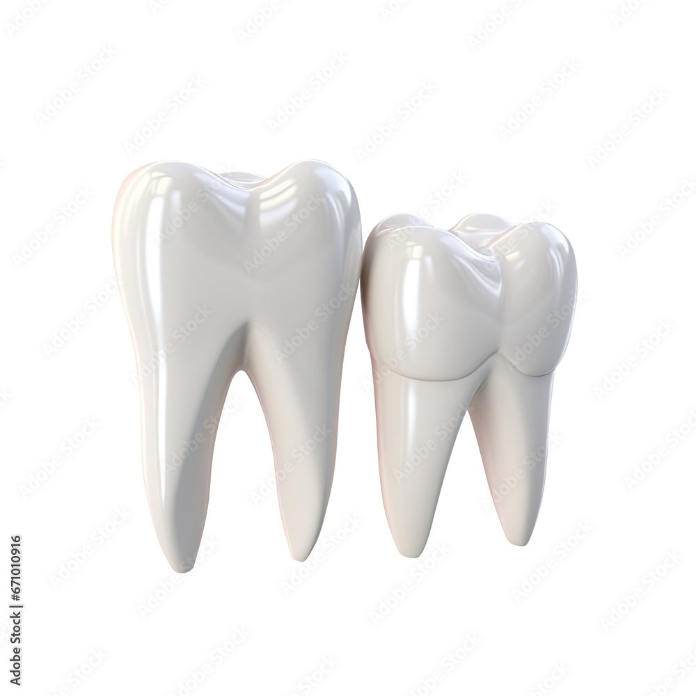 tooth isolated on transparent background Remove png, Clipping Path tooth isolated on transparent background Remove png, Clipping Path