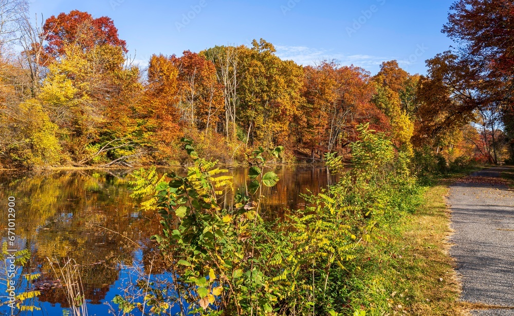 Fall foliage reflected in water near a trail