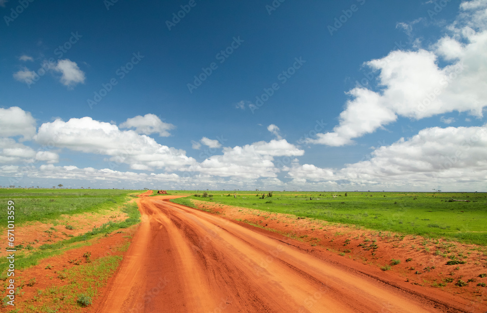beautiful flora and fauna of the African savannah beautiful flora and fauna of the African savannah