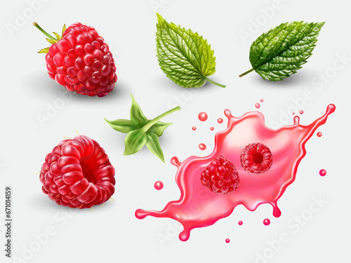 Realistic raspberry fruit with leaf and splash vector set on white background
