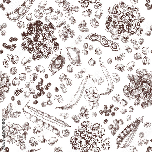 Hand drawn legumes seamless pattern