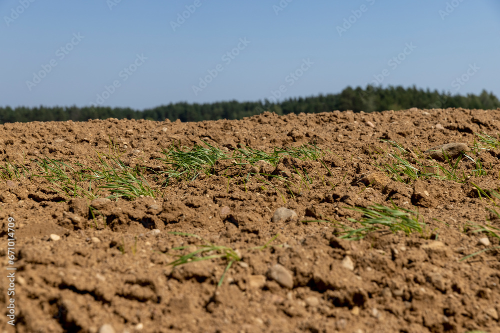plowed soil in the field for sowing plants plowed soil in the field for sowing plants