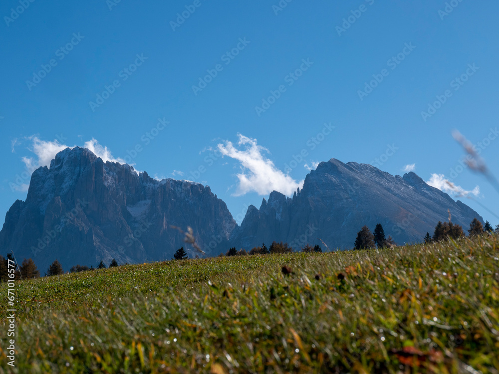 Herbstliches Panorama auf der Seiser Alm in den Dolomiten, Italien