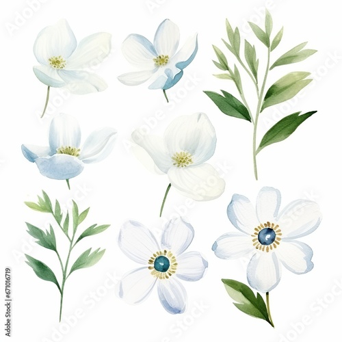 illustration of watercolor set of white small flowers in scandinavia, Generative ai