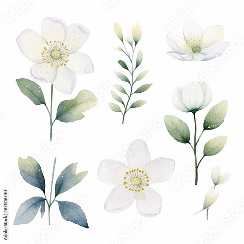 illustration of watercolor set of white small flowers in scandinavia, Generative ai © aniartai