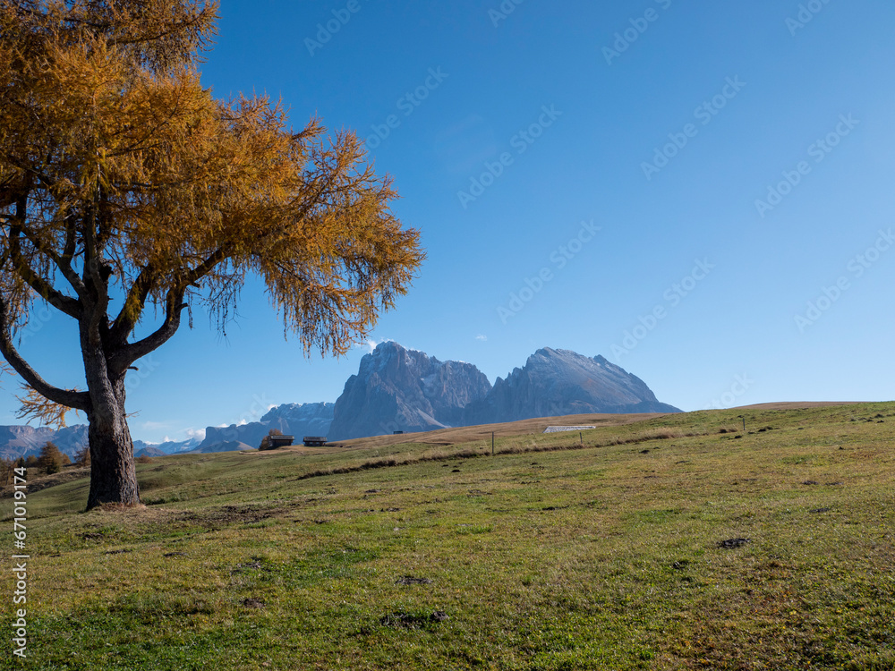 Feeling of nature on the Seiser Alm in the Dolomites, Italy Feeling of nature on the Seiser Alm in the Dolomites, Italy