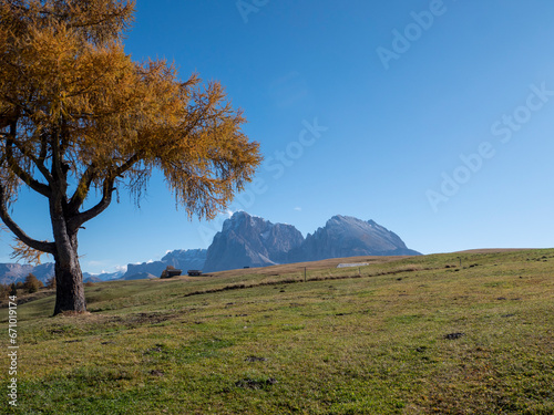 Feeling of nature on the Seiser Alm in the Dolomites, Italy