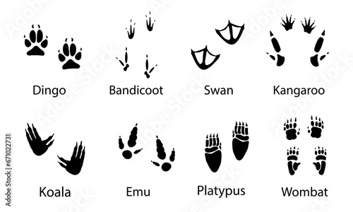 Australian animals paw prints, vector illustration different wild animals footprints black on white illustration. Dingo ,bandicoot ,swan ,kangaroo ,koala ,emu , platypus ,wombat for your design 