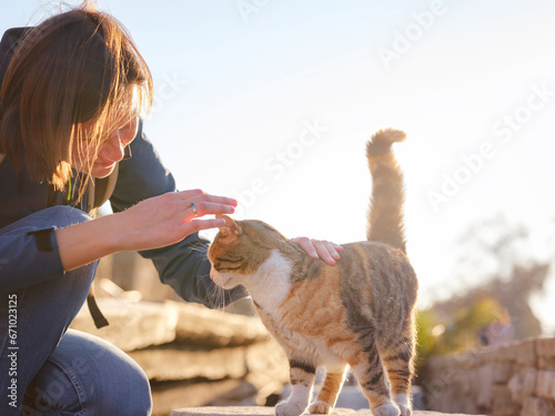 Photography cats of Turkey, small resort town of Side with ancient Greek ruins