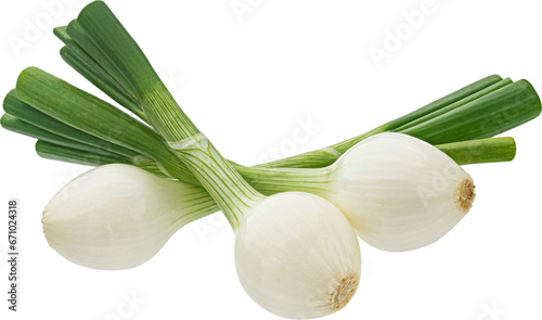Green onion isolated on white background with clipping path photo