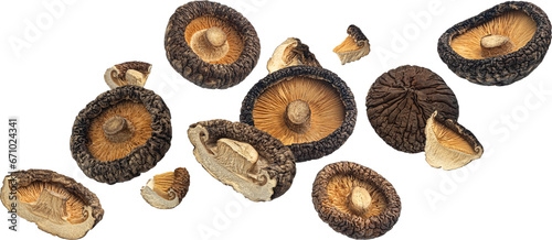 Dried shiitake mushrooms isolated photo