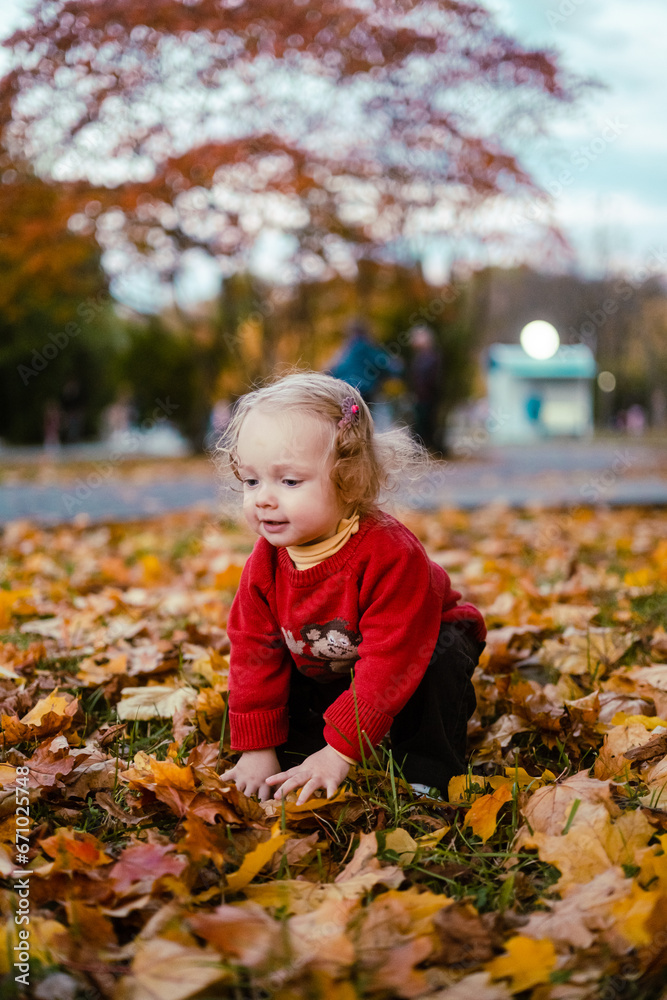 My little daughter plays with autumn leaves in the city park. Cute baby girl playing outdoors. My little daughter plays with autumn leaves in the city park. Cute baby girl playing outdoors.