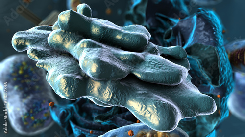 Organelles inside Eukaryote, focus on golgi apparatus - 3d illustration photo