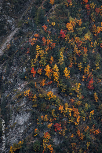 autumn forest on the slopes towards La Jonction in Chamonix