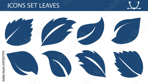 Fototapeta Naklejka Na Ścianę i Meble -  A set of leaves on a white background, for logos, designs, for the symbolism of the green planet