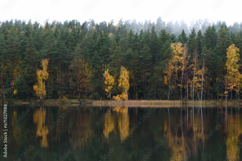 beautiful view of the lake on a rainy autumn day with the reflection of yellow birch trees in the water beautiful view of the lake on a rainy autumn day with the reflection of yellow birch trees in the water
