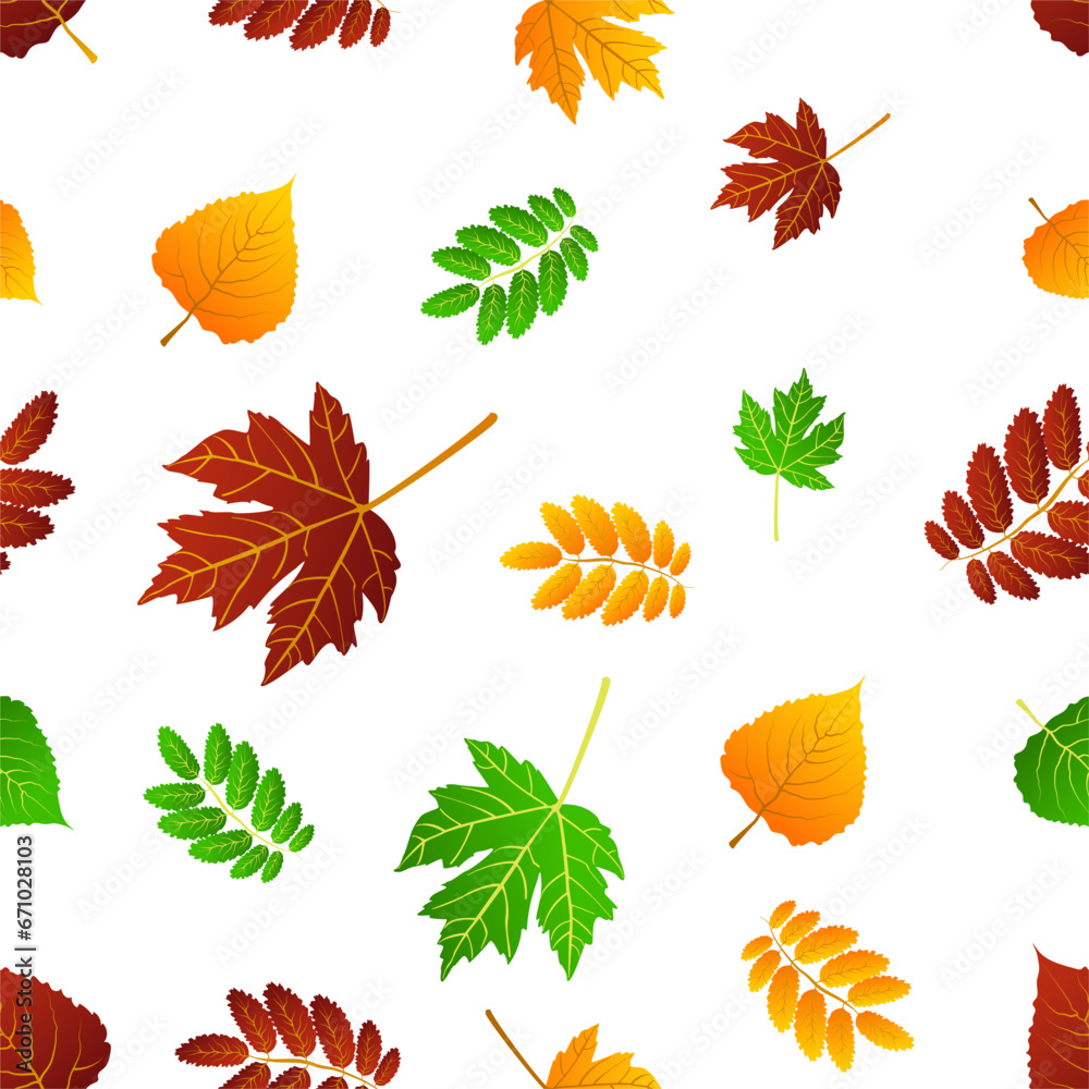 Fototapeta premium Multicolored autumn seamless pattern of autumn birch, maple leaves on a white background