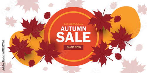 Autumn sale banner template design
