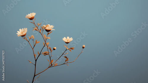 flower in the sky