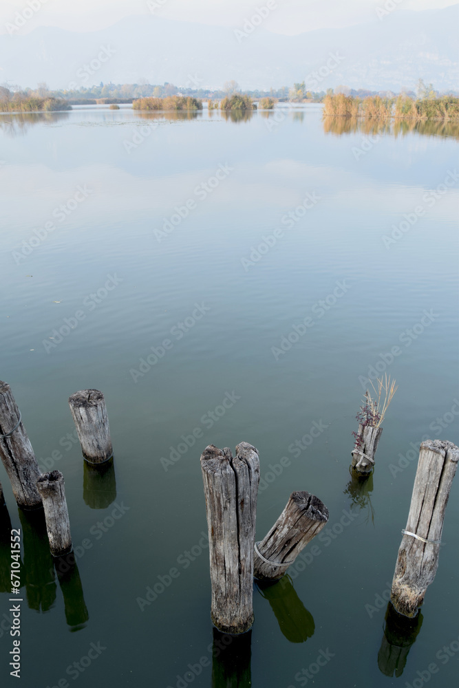 The peat bogs of Lake Iseo in autumn