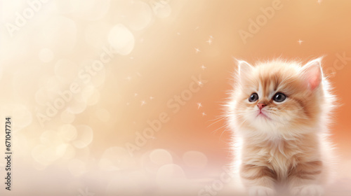 Cat-inspired Background for Animal Enthusiasts and Pet Welfare Campaigns.