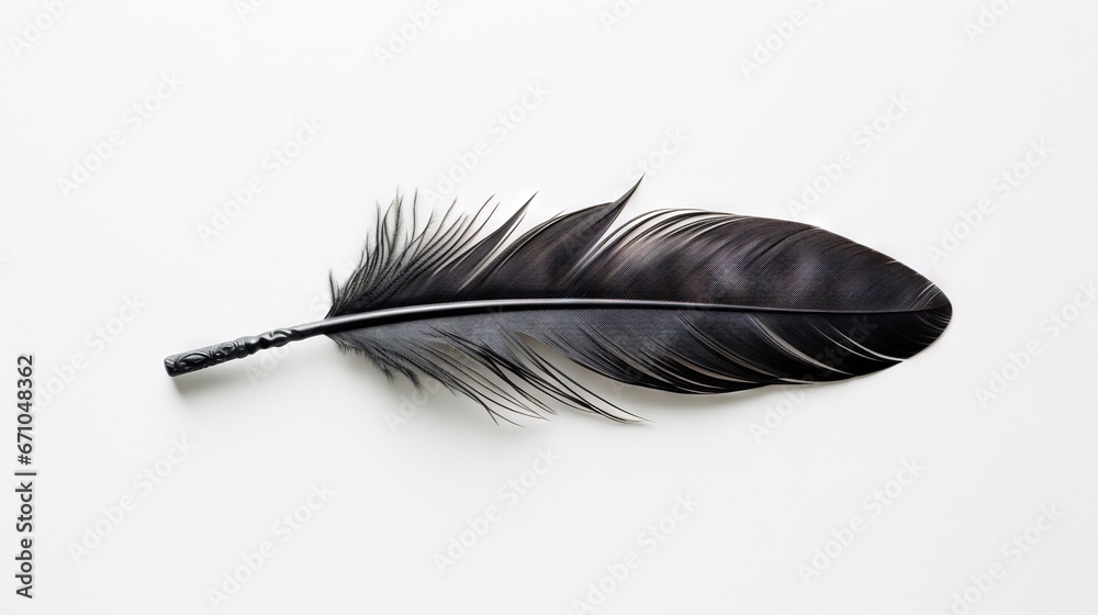 a black and white feather on a white background with a black tip. generative ai a black and white feather on a white background with a black tip. generative ai