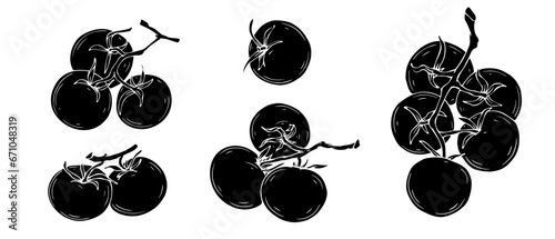 Set of silhouettes, doodles of tomato vegetables. Vector graphics.