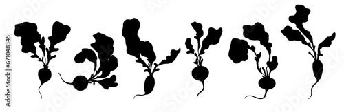 Set of silhouettes, doodles of radish root vegetables. Vector graphics.