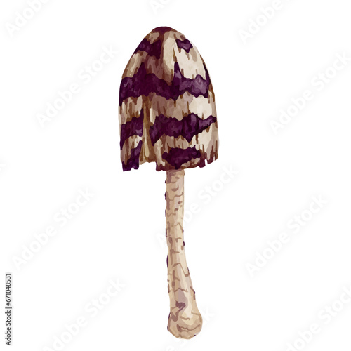 Colorful forest mushroom toadstool. Vector graphics.