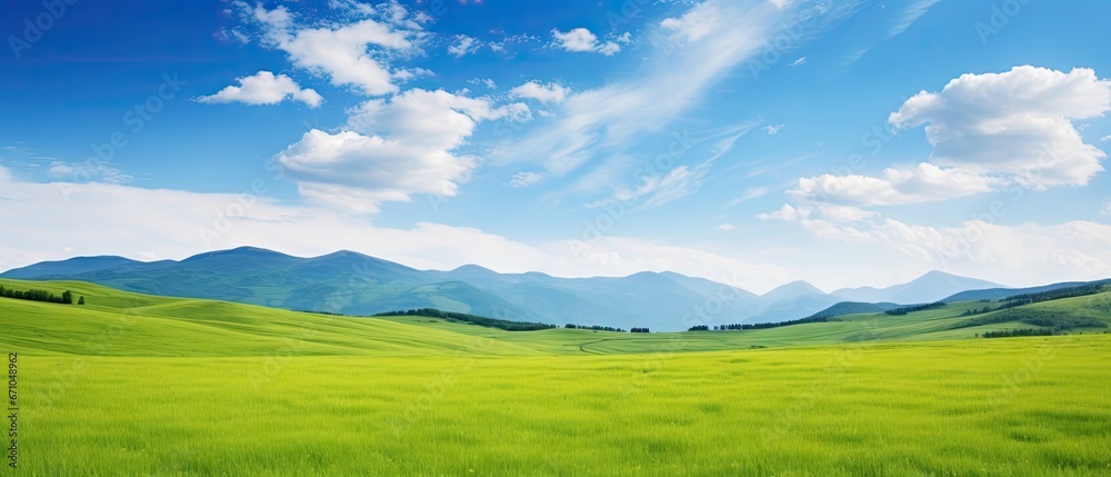 Obraz premium Panoramic natural landscape with green grass field